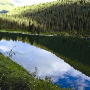 Environmental Protection in China