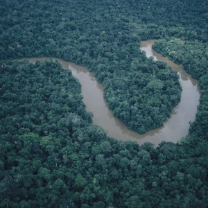 Researchers probe links between human and natural systems
